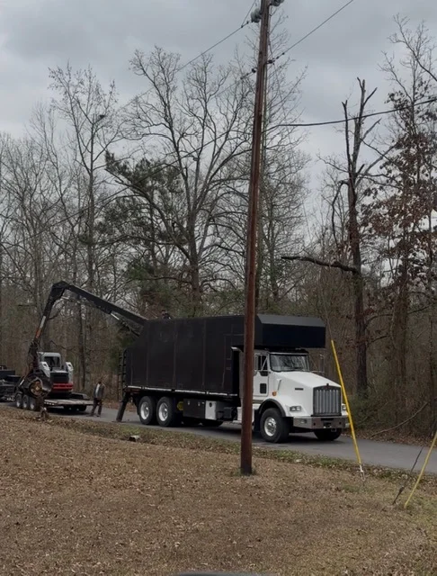 Tree removal with excavator grapple loading debris into dump truck