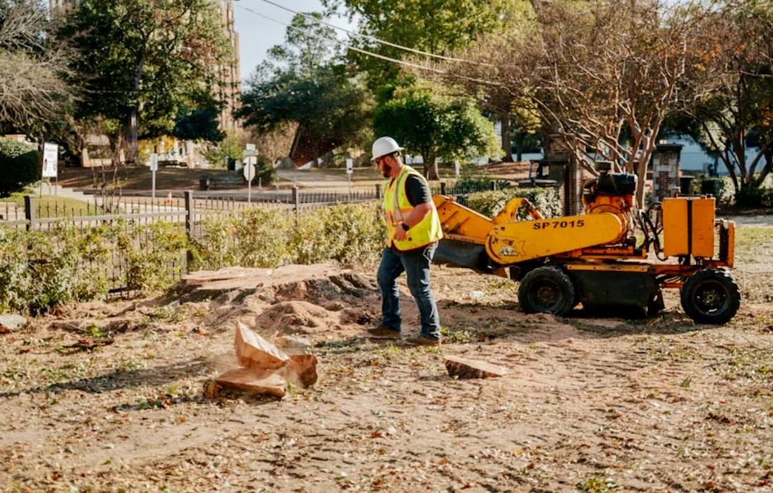 Operator with stump grinder removing large tree stump from residential yard