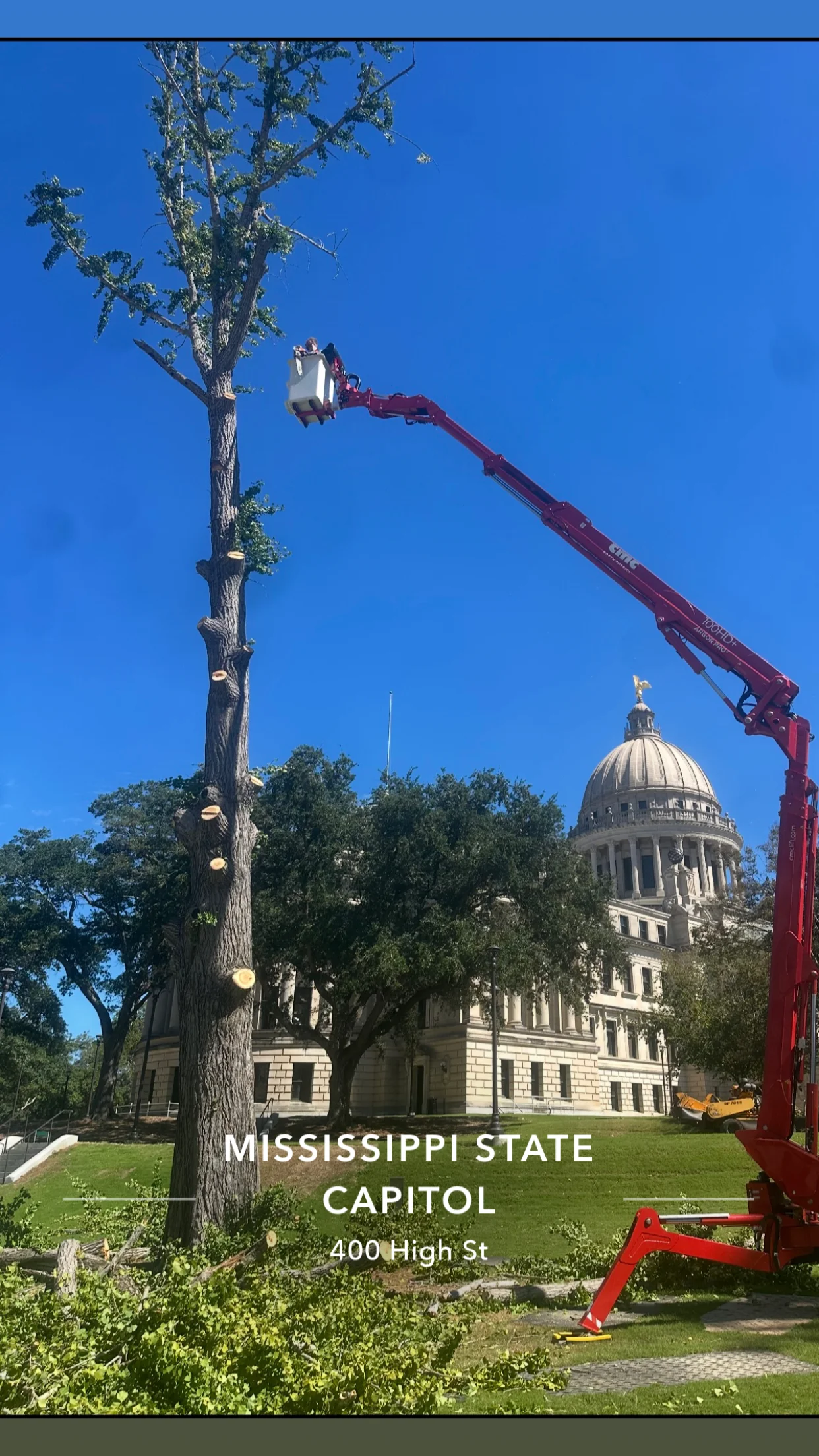 Bucket truck removing large tree sections with crane equipment near historic building