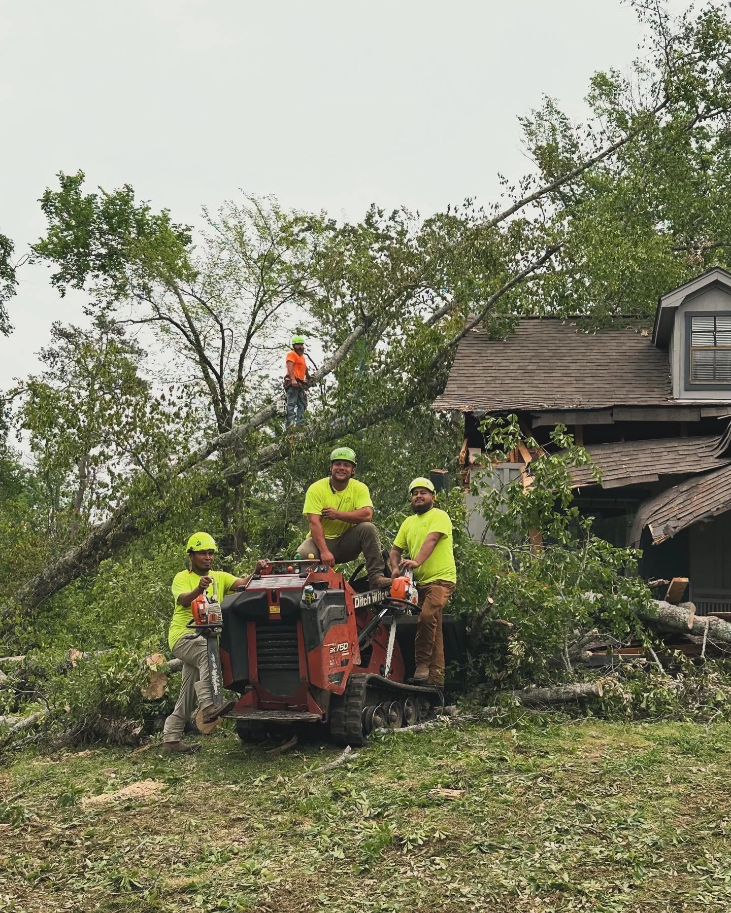Tree removal crew with wood chipper removing large storm-damaged trees near residential home